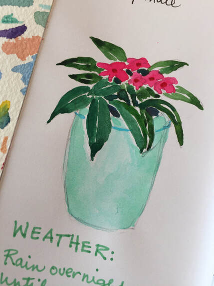 Easy Watercolor Plants, Watercolor Sketchbook Painting Ideas